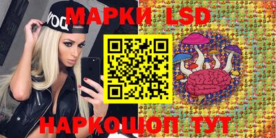 кокс Можга