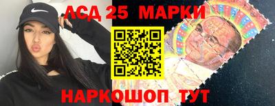 кокс Можга
