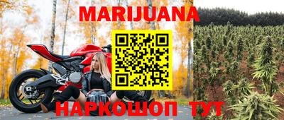кокс Можга