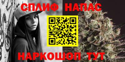 СК Можайск