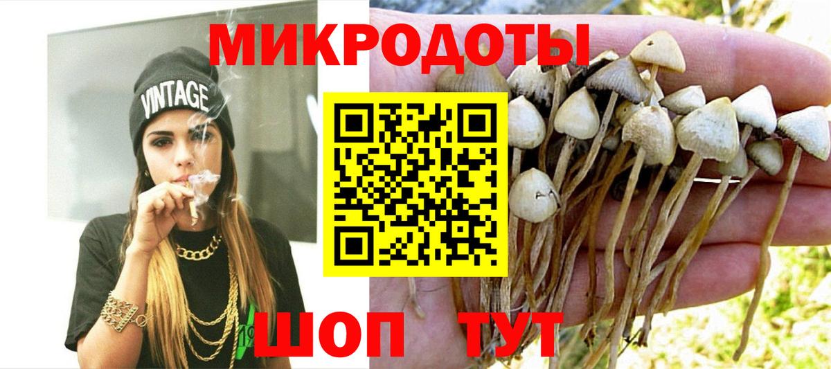 Псилоцибиновые грибы MAGIC MUSHROOMS Рубцовск