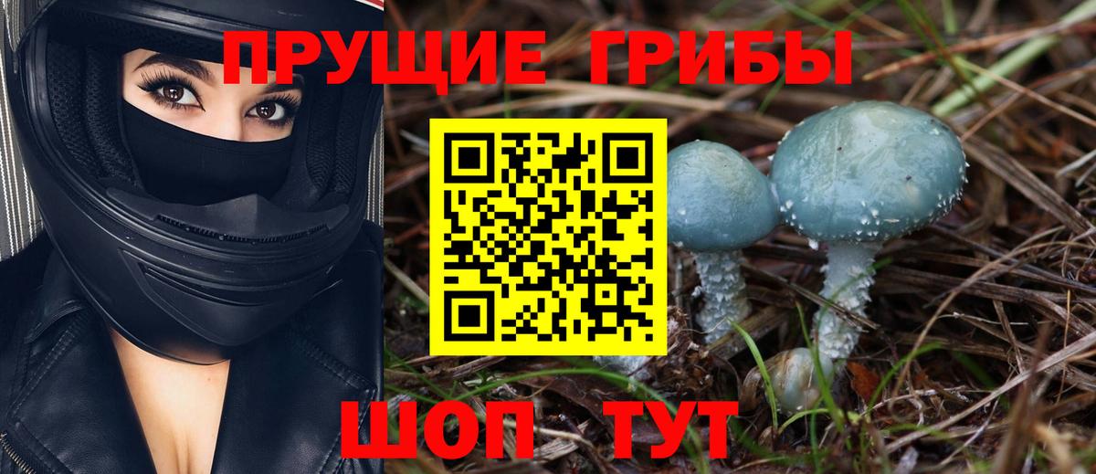 Рубцовск  Псилоцибиновые грибы ЛСД  Вход с VPN 